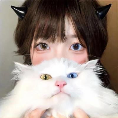 二重生命海报